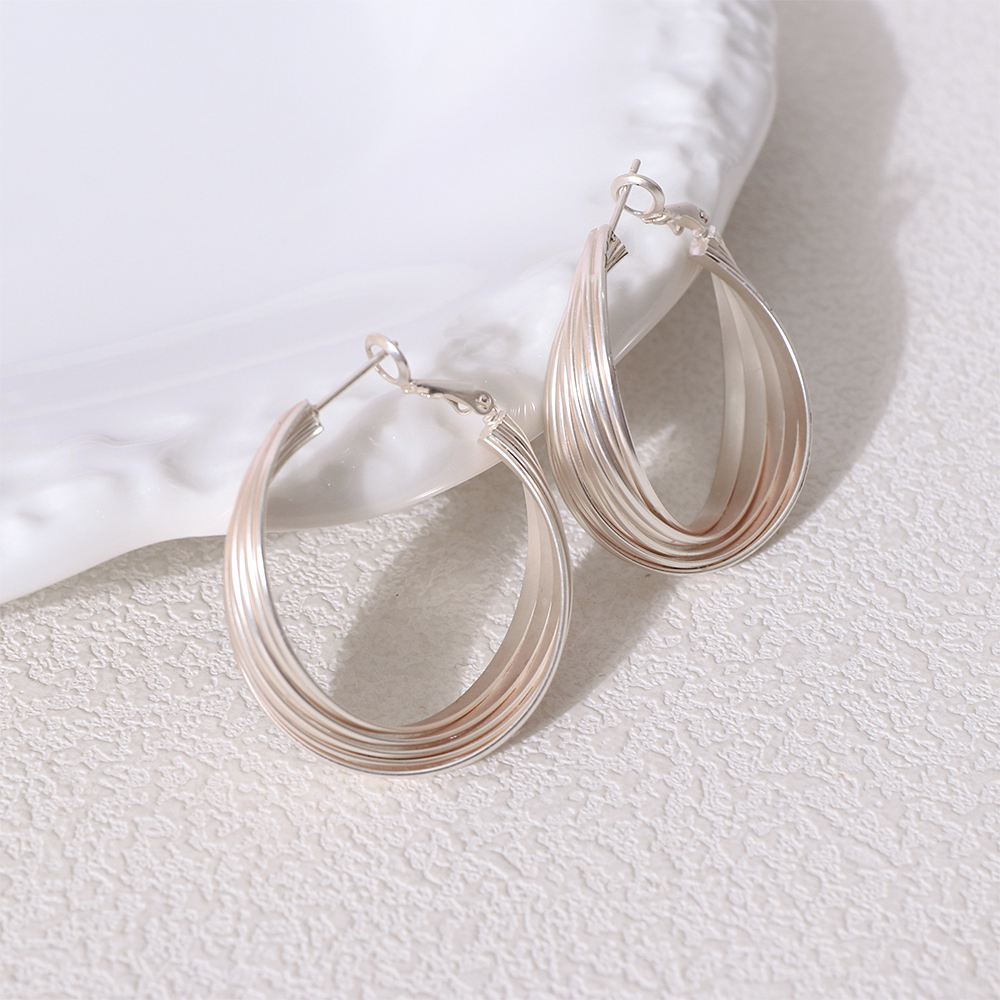 Unique Minimalist Matte Silver Hoop Earrings For Modern Style