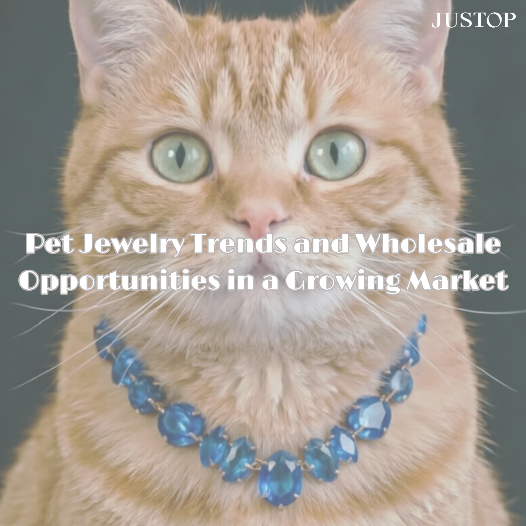 Pet Jewelry